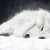 :iconwolfgoddess1991: