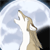 Wolfguardian :iconwolfguardian: