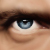 :iconWolfgunner01: