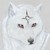 :iconwolfgurl14: