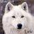 :iconWolfHarrt: