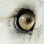 :iconwolfheartbeat: