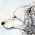 :iconwolfhearty: