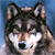 :iconwolfhoax: