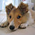 :iconwolfhound90: