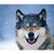 :iconwolfhowlersfang:
