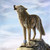 :iconwolfhuger4321: