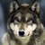 :iconwolfhunter3001: