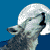 :iconwolfie864: