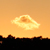 :iconwolfied16: