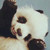 :iconwolfiesmith13: