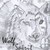 :iconwolfiespirit9: