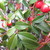 :iconwolfindecember: