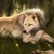 :iconwolfiscat: