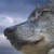 :iconwolfje1975: