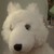 :iconwolfkiki: