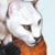 :iconwolflover1013: