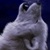 :iconwolflover1966: