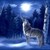 :iconwolflover302: