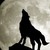 :iconwolfloverforever153: