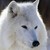 :iconwolfluna65: