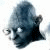 :iconwolfman-alain: