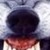:iconwolfman131066: