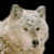 :iconwolfman1970: