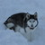 :iconwolfmatsi: