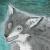 :iconWolfmjau: