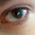 :iconwolfmol: