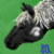 :iconwolfoflakehylia: