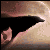 :iconwolfofmoonlight: