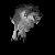:iconwolfpaw: