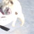 :iconwolfpaw6789: