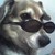 :iconwolfprincess02: