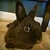 WolfPrint267 :iconwolfprint267: