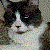 :iconwolframes: