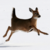 :iconwolframlogistics: