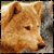 :iconwolfreenorhtwind: