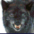 :iconwolfrose59: