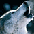:iconwolfsbane93: