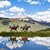 WolfScar202 :iconwolfscar202: