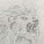:iconwolfsea: