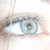 :iconwolfshadow19: