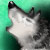 :iconwolfsong--at--heart: