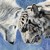 :iconwolfsrain396: