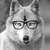 :iconwolfstagram:
