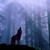 :iconwolfstarblade: