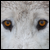 :iconwolfstory: